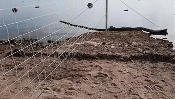 Ab jetzt überall digital erhältlich! OUT NOW - Sensational Beach Volleyball