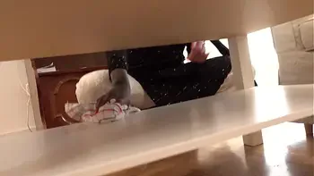 देसी हिजाबी नौकरानी को मालिक ने सोफे पे पटक कर बुरी तरह उसकी गांड चोदा