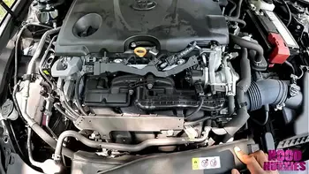 Doordash drivers Don Grammar helps big butt pawg MandiMayxxx in distress and gets a huge tip