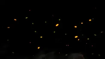 You Are A Toilet For Four Mistresses - POV Pissing Femdom