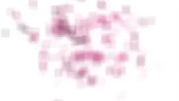 GIRLSRIMMING - Rimjob surprise by Tiffany Tatum and Eveline Dellai