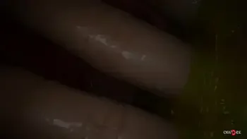 Misterious forest animation. Free version