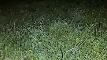 We hid from the rain in an abandoned place to have sex with dirty talk - Lesbian Illusion Girls