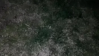 I caught my step-aunt masturbating and continued to watch her until she cum - Lesbian Illusion Girls