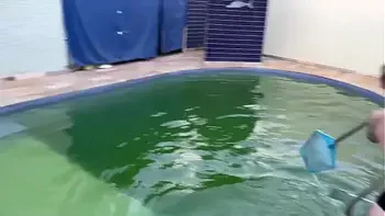 Patroa gostosa sem dinheiro pra pagar o mini piscineiro pagou com a bucetinha