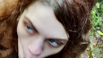 Get lost in Wonderlands