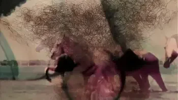 Vintage Taboo, Pussy & Pooch