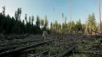 girl big tits in forest masturbate to help fix