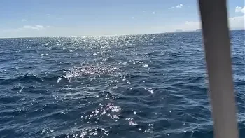 Risky public sex in hot stepmom on a boat