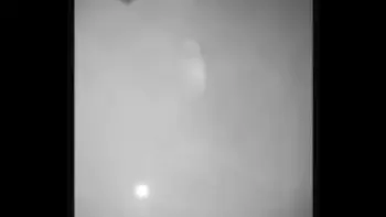 Beloved wife is cheating..