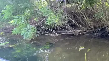 Real Outdoor Sex on the Deserted Island after Swimming