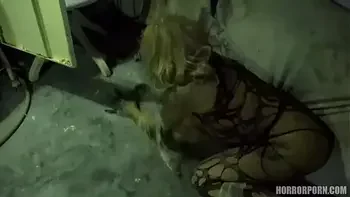 HORRORPORN - Female spider