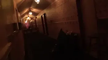 Buck Wild Takes You What's Inside of Pascha Brothel Köln Germany