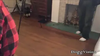 Passionate Stand Up Fucking Wives, MILFs, and GILFs