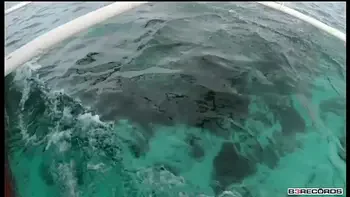 b. come and fuck my pussy