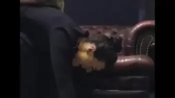 Spanking - unladylike misbehaviour - Laura