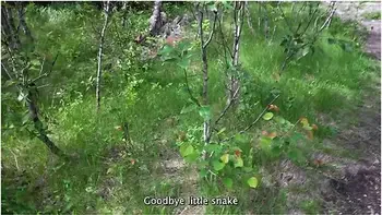 Luna Okko In Chill Day In Canada - Lunas Journey ( )