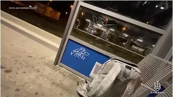 Just A Risky Train Station Fuck