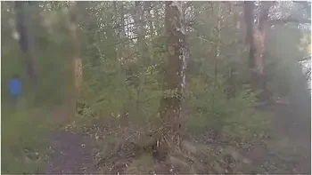 Risky Public Handjob With Cumshot At Lake