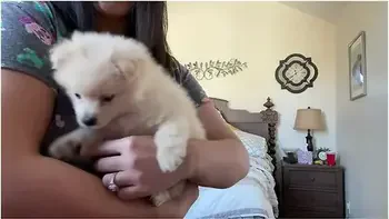 Tiny Micro Bikini Try On Haul Teen 18+ Youtube Haul Lingerie See Thru