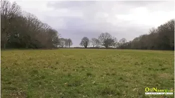 Lesbian Mature Lacey Starr In Compilation With