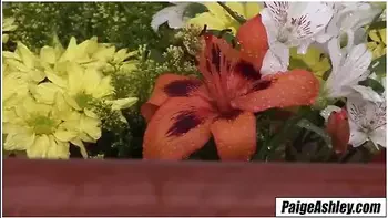 Busty Blonde House Wife Fuckdoll - Paige Ashley, Paul Chaplin And Jordan Pryce