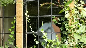 British Babes Daniella Ashlea Maye And Jess West Enjoy Some Steamy Pussy Play Outdoors