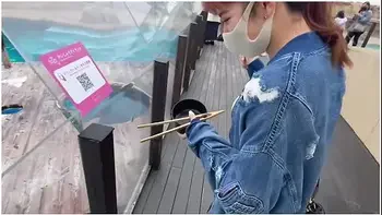 好きっちゃけと博多弁て可愛い女子大生とイチャラフsex逝きまくるハイハンまんこに大量射精素人カッフル/色白美乳/スレンター/リアル/野外露出/主観映像/english Subtitles