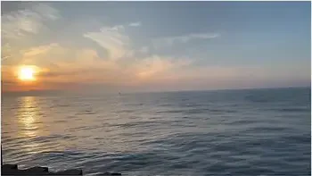 We Took A Walk On The Beach, Then I Ate Her Up