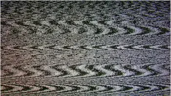 Lacey Lala In Pledge Wants Your Help (and Cock) [trailer]