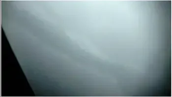 Amazing Amateur, Ebony xxx movie