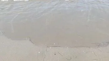 Putarankahotmilf Teasing Piss Secret on Beach - Big Ass Flashing Pussy Close Up