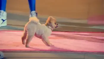 Katy Perry Dark Horse (Feat. Juicy J.) Porn Music Video