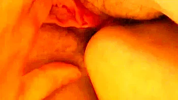 Pleasure Highway In Bold Adventure