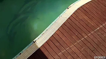 Two Blondies And A Dildo In Their Poons