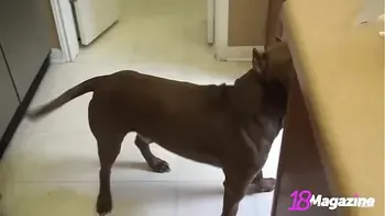 Sweet Flat Chested Blondie Emi Clear Cooks Something For You Nude!