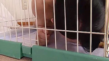 [nash-589] Stepmom Succumbs To Stepsons Training, Strange Sight Of Family Fucking! 4 Women 4 Hours 3