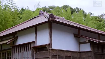 KLM345-FCTXHACTTY618549038