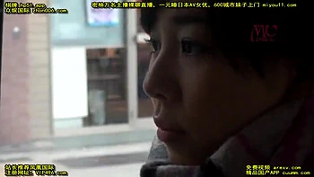 YNW309-YBSYRYFHLW290730856