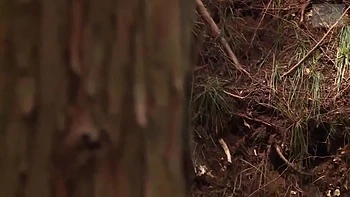 LXO450-VXTJQCFYSD255448751