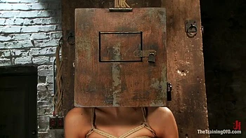 The Training Of A Model Or A Slave (remastered Day 1 3) ( )