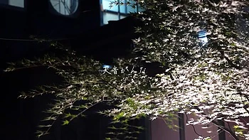 x1x6ACBDE9C32D11CF0E0