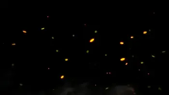 Slave Cleans Mistress Kira's Ass With Tongue After Gym - Rimjob Femdom