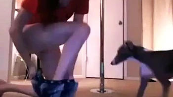 Lonely Babe in Her First Apartment Orgasms On Webcam: Big Tits, Amateur  Stripchat Porn