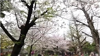 Sm Play Series: Shaking Of Her Booty Is Hot. Side View Of Sex With A Blindfolded And Collared Girl