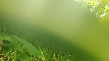 Malayali Couple Wild Outdoor Sex in Forest - Desi Village MMS 4K