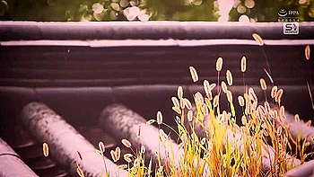 超濃厚sex契約 成績不振の生保レtィは異常精力オヤシか住むホロ屋敷に出向き媚薬て絶倫にさせられケタモノ交尾 Miru