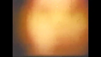 Vulgar Capricious Pig