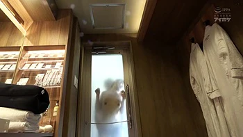 x1xCD85E4E7CA9274FB25