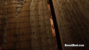 Stylish Princesss Domination Trailer